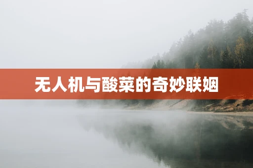 无人机与酸菜的奇妙联姻