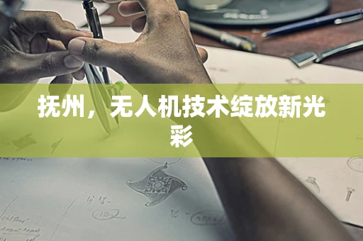 抚州，无人机技术绽放新光彩