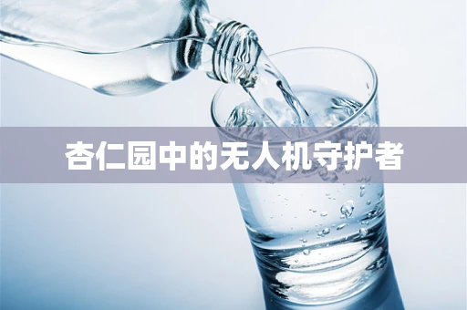 杏仁园中的无人机守护者