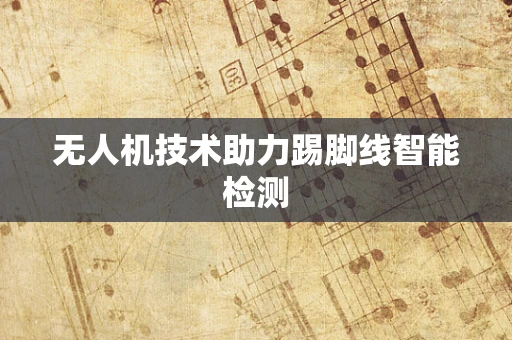 无人机技术助力踢脚线智能检测