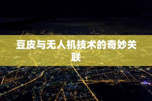 豆皮与无人机技术的奇妙关联