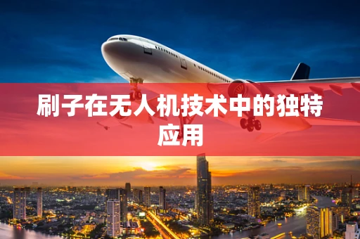 刷子在无人机技术中的独特应用