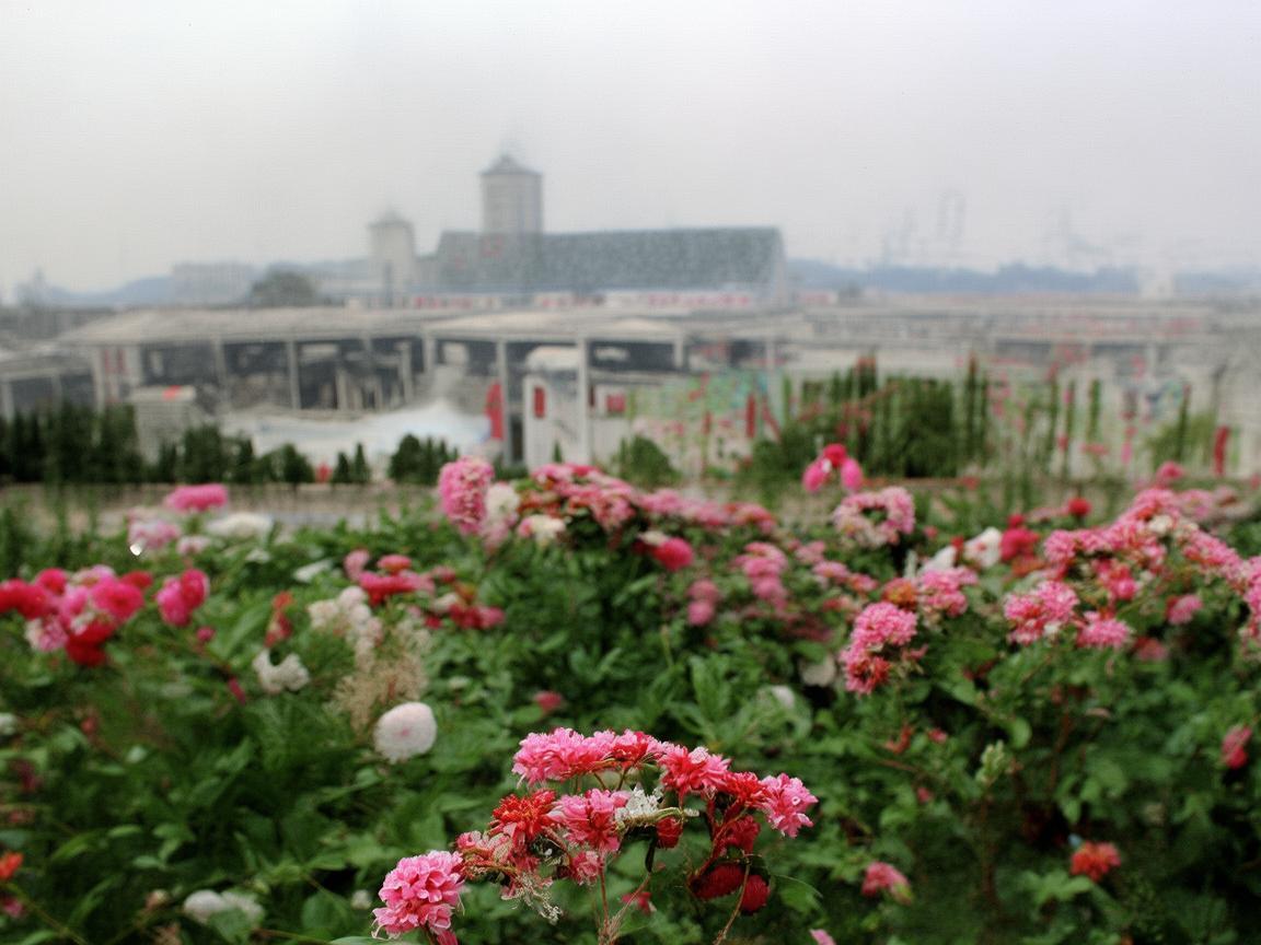 固原,无人机技术绽放新光彩